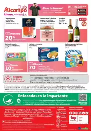 Folleto Alcampo Página 16