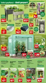 Thomas Philipps Prospekt woche 21 Seite 4