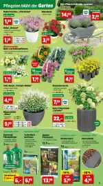 Thomas Philipps Prospekt woche 21 Seite 5