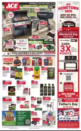 Ace Hardware flyer Page 1