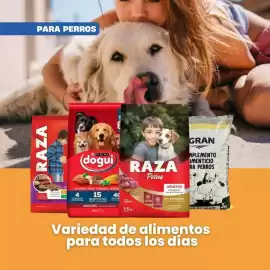 Catálogo Delfin Supermercados Página 3