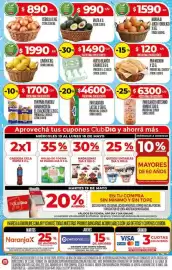 Folleto Supermercados DIA semana 20 Página 17