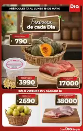 Folleto Supermercados DIA semana 20 Página 20