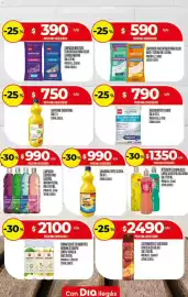 Folleto Supermercados DIA semana 20 Página 25