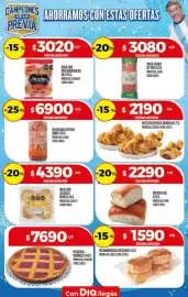 Folleto Supermercados DIA semana 20 Página 26