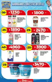 Folleto Supermercados DIA semana 20 Página 27