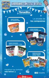 Folleto Supermercados DIA semana 20 Página 32