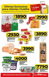 Folleto Supermercados DIA semana 20 Página 44