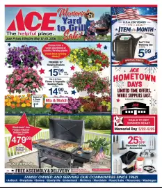 Ace Hardware flyer Page 1