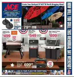 Ace Hardware flyer Page 3