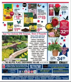 Ace Hardware flyer Page 6