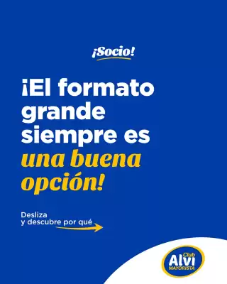 Catálogo Alvi