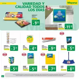 Catálogo Mayorsa Página 12