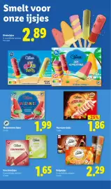 Lidl folder week 21 Pagina 23