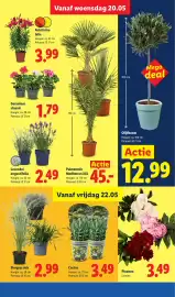 Lidl folder week 21 Pagina 29
