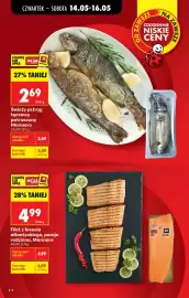 Biedronka gazetka tydzień 20 Strona 10