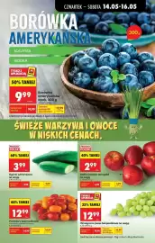 Biedronka gazetka tydzień 20 Strona 19