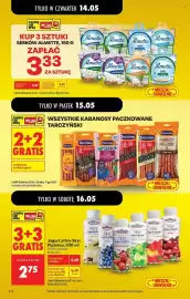 Biedronka gazetka tydzień 20 Strona 2