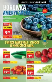 Biedronka gazetka tydzień 20 Strona 29
