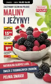 Biedronka gazetka tydzień 20 Strona 3