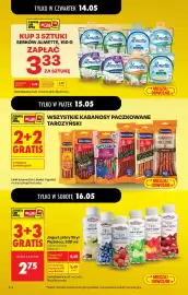 Biedronka gazetka tydzień 20 Strona 4