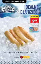 Biedronka gazetka tydzień 20 Strona 40