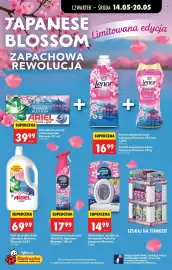 Biedronka gazetka tydzień 20 Strona 51