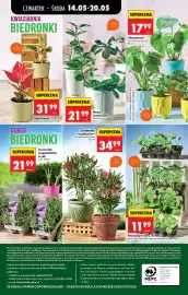 Biedronka gazetka tydzień 20 Strona 82