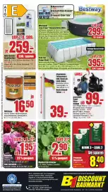 B1 Discount Baumarkt Prospekt woche 20 Seite 8