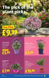 Lidl leaflet week 21 Page 22