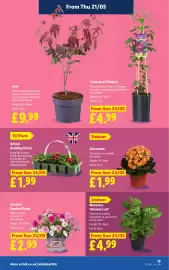 Lidl leaflet week 21 Page 23