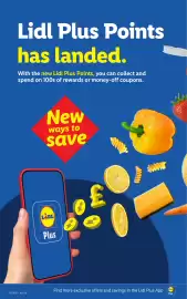 Lidl leaflet week 21 Page 8