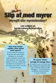 Harald Nyborg tilbudsavis uge 20 Side 33