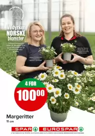 Spar kundeavis Side 18