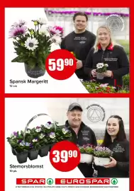 Spar kundeavis Side 19