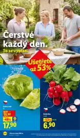 Lidl leták Strana 8