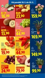 Lidl leták Strana 9