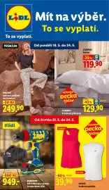 Lidl leták týden 21 Strana 1