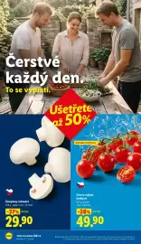 Lidl leták Strana 10