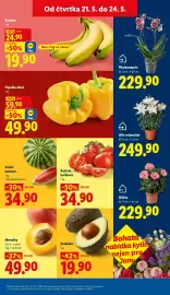 Lidl leták Strana 11