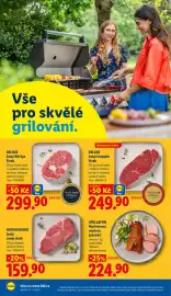 Lidl leták Strana 20