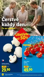 Lidl leták Strana 8