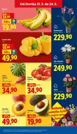 Lidl leták Strana 9