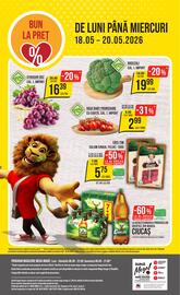 Catalog Mega Image săptămâna 20 Pagină 24