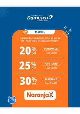 Damesco (válido hasta 21-05)