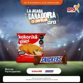 Catálogo Ara Página 1