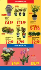 Lidl leaflet week 21 Page 23