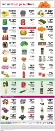 ShopRite flyer week 20 Page 13