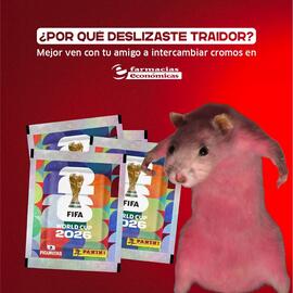 Catálogo Farmacias Económicas semana 20 Página 2