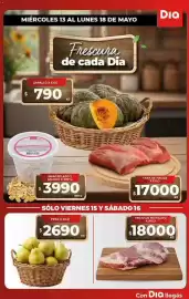 Folleto Supermercados DIA semana 20 Página 1